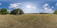 this is an image of the field and some trees in it, as a fisheye view