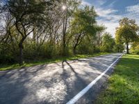 the sun shines brightly down onto a tree - lined road in rural france with tall, skinny trees