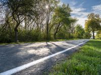 the sun shines brightly down onto a tree - lined road in rural france with tall, skinny trees