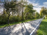 the sun shines brightly down onto a tree - lined road in rural france with tall, skinny trees