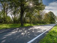 the sun shines brightly down onto a tree - lined road in rural france with tall, skinny trees