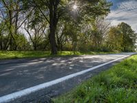 the sun shines brightly down onto a tree - lined road in rural france with tall, skinny trees