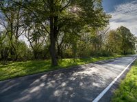 the sun shines brightly down onto a tree - lined road in rural france with tall, skinny trees