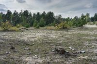 a burnt out field of a wooded area with trees in the distance and litter strewn all around