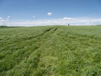 Rural Landscape in Germany: Fields and Windmills