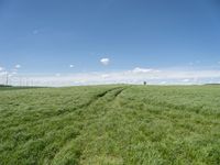 Rural Landscape in Germany: Fields and Windmills