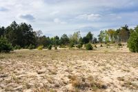 Rural Landscape in Germany: Forest Off-Road Adventure