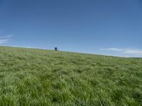 Rural Landscape in Germany: A Grassy Field