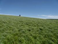 Rural Landscape in Germany: A Grassy Field