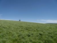 Rural Landscape in Germany: A Grassy Field