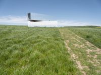 a house sitting in the middle of a grassy field with no roof or windows on