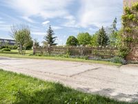 this is an empty street on a sunny day in the suburbs of ontario with trees, grass and a fence