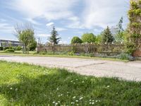 this is an empty street on a sunny day in the suburbs of ontario with trees, grass and a fence