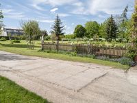 this is an empty street on a sunny day in the suburbs of ontario with trees, grass and a fence