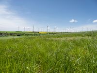 Rural landscape in Germany with windmill and green fields