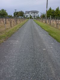 a large white house on a cloudy day in a vineyard country side area near a road lined by fenced vines and plants