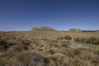 grass on the ground around and rock formations in background with a blue sky overhead,