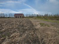 Rural Landscape: Grass, Tree, and House