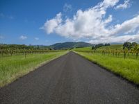 a road going through an open field and mountains in the distance with clouds overhead and grass and trees below