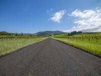 a road going through an open field and mountains in the distance with clouds overhead and grass and trees below