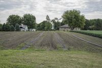 Rural Landscape in Iowa: A Farm in the Open Space