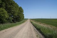 Rural Landscape in Iowa: Straight Down the Road