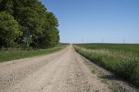 Rural Landscape in Iowa: Straight Down the Road