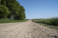 Rural Landscape in Iowa: Straight Down the Road