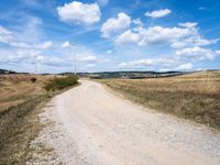 Rural Landscape in Italy's Tuscany Region: A Harvest Scene