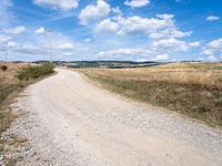 Rural Landscape in Italy's Tuscany Region: A Harvest Scene