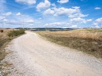 Rural Landscape in Italy's Tuscany Region: A Harvest Scene