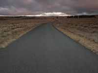 a lone road stretches out towards a field under a cloudy sky with a lone cow standing at the end