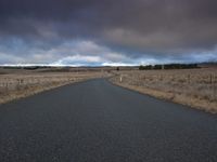 a lone road stretches out towards a field under a cloudy sky with a lone cow standing at the end