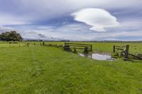 a fence is surrounded by wooden posts and water in a grassy field with green grass