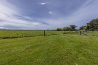 Rural Landscape with Lush Vegetation and Green Grass