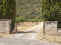 Rural Landscape in Mallorca, Spain