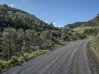 a long gravel road with mountains in the background, and trees on both sides of the road