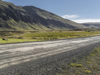 a dirt road running down some mountains with grass and rocks on both sides of it