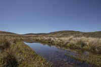 Rural Landscape: Mountains and Water Reflection