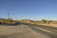 Rural Landscape: Nature and Trees Along the Road