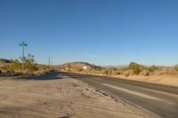 Rural Landscape: Nature and Trees Along the Road