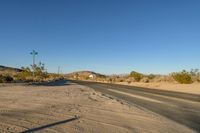 Rural Landscape: Nature and Trees Along the Road