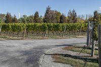 Rural Landscape in Ontario, Canada: A Daytime View