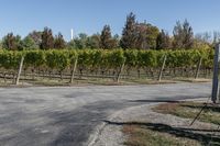 Rural Landscape in Ontario, Canada: A Daytime View