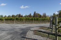 Rural Landscape in Ontario, Canada: A Daytime View