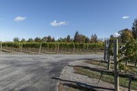 Rural Landscape in Ontario, Canada: A Daytime View