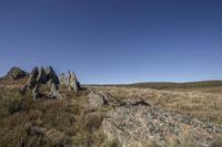 Rural Landscape - Open Grassy Area 001