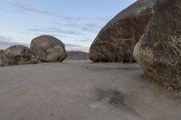 Rural Landscape: Open Space on a Sunny Day