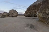 Rural Landscape: Open Space on a Sunny Day