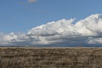 Rural Landscape: Open Space with Grassy Plain